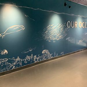 Pacific Seas Aquarium (New in 2018)