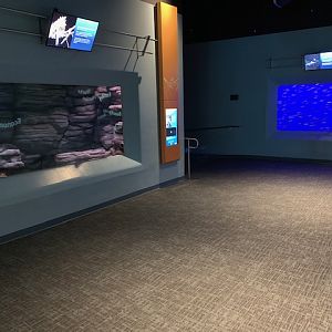 Pacific Seas Aquarium (New in 2018)