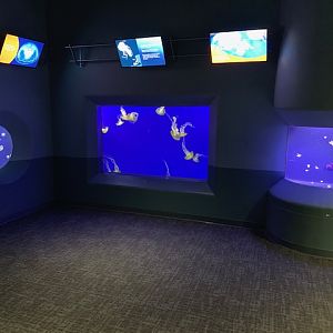 Pacific Seas Aquarium (New in 2018)