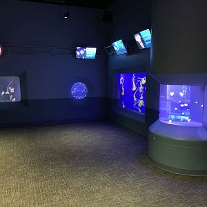 Pacific Seas Aquarium (New in 2018)