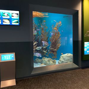 Pacific Seas Aquarium (New in 2018)