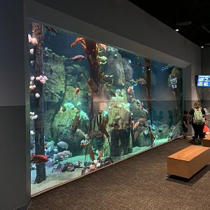 Pacific Seas Aquarium (New in 2018)