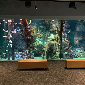 Pacific Seas Aquarium (New in 2018)