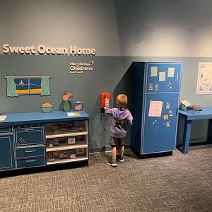 Pacific Seas Aquarium (New in 2018)