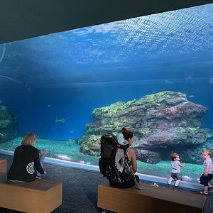 Pacific Seas Aquarium (New in 2018)