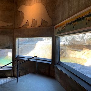 Polar Bear Exhibit - Viewing Area #1