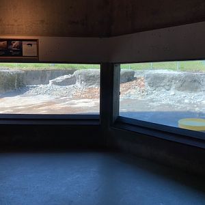 Polar Bear Exhibit - Viewing Area #2