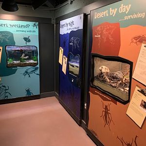 Bug World (small Insect House)