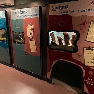 Bug World (small Insect House)