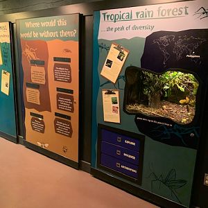 Bug World (small Insect House)