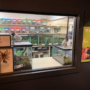 Bug World (small Insect House)