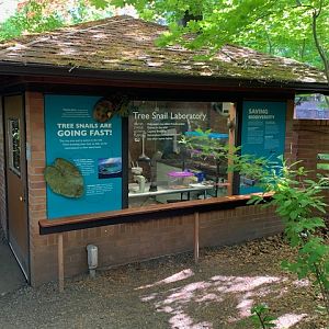 Partula Snail Laboratory