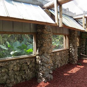 Southern Two-toed Sloth Exhibit