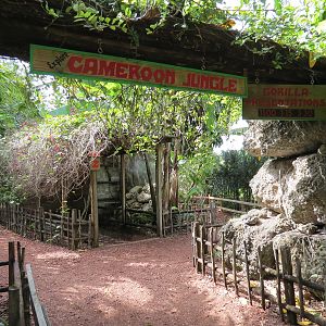 Cameroon Jungle (Gorilla Exhibit) - Entrance