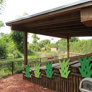 Cameroon Jungle (Gorilla Exhibit) - Viewing Area, Dry Moat, Exhibit Beyond