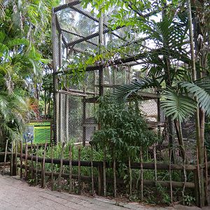 Mandrill Exhibit