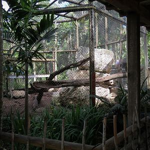 Mandrill Exhibit