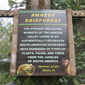 Amazonian Rainforest (Black-capped Capuchin and Squirrel Monkey Exhibit) - Sign