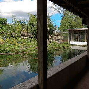 Wild Monkey Swimming Pool (Java Macaque Exhibit) - Viewing Shelter