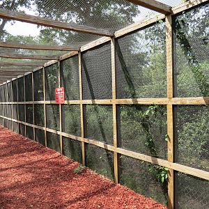 Wild Monkey Swimming Pool (Java Macaque Exhibit) - Visitor Tunnel