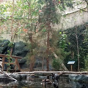Upland river exhibit