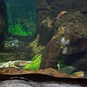 Mediterannean Sea exhibit