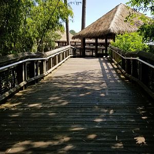 Walkway to Africa