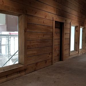 Giraffe indoor viewing windows