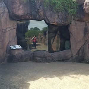 Outdoor African reptile exhibits