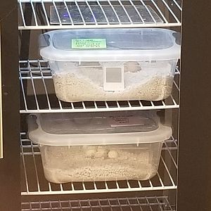 Eggs, too far to read labels