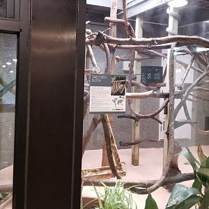 Sloth exhibit