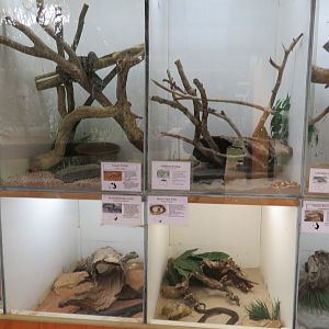 Snake Exhibits