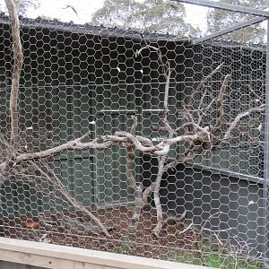 View of Bird of Prey Aviaries