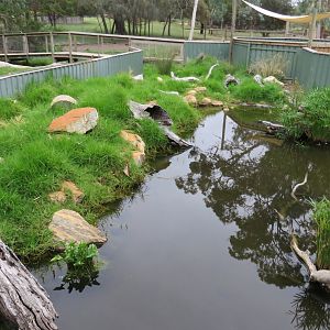Water Dragon and Turtle Exhibit