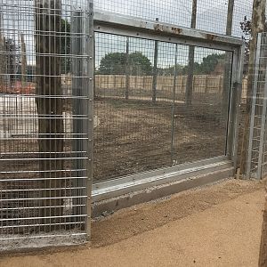 New tiger exhibit viewing windows