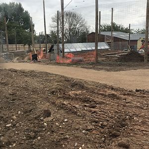 Tiger viewing tunnel