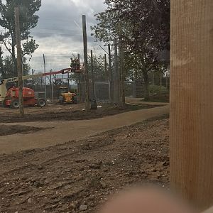 Tiger exhibit path ways and veiling areas