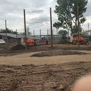 Tiger exhibit of show area