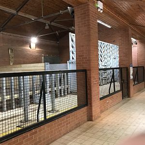 Out of place former elephant protection wall in rhino house