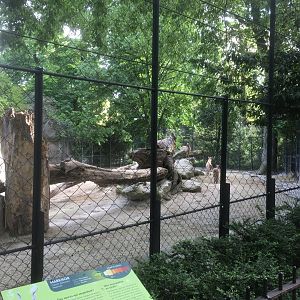 Markhor enclosure