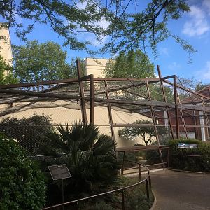 Houbara bustard aviary