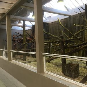 Goodfellow’s tree kangaroo enclosures