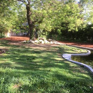 Malayan tapir enclosure