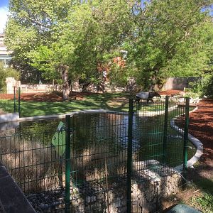 Malayan tapir enclosure