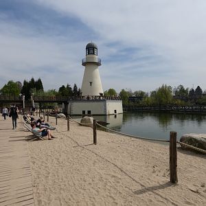 Harbour Seal enclosure