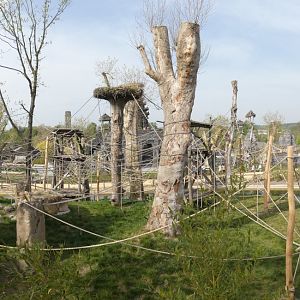 Sumatran Orang-utan enclosure