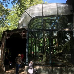 Bornean orang utan enclosure