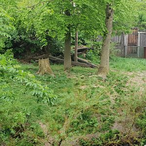 Raccoon - Skunk enclosure