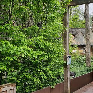 Black stork - Eagle owl - Raven aviaries
