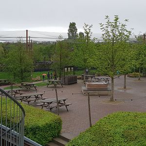 Terrace and Taiga-aviary